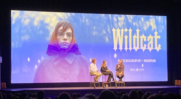 Ethan and Maya Hawke bring Flannery O'Connor to life in revelatory 'Wildcat'