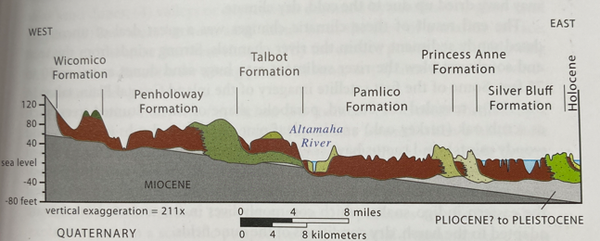 A deep dive into deep rainfall: Ancient reasons for Savannah's vulnerability to flooding