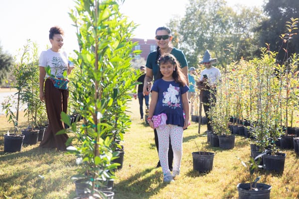 'Trick or Trees' event set to distribute free trees for you to plant