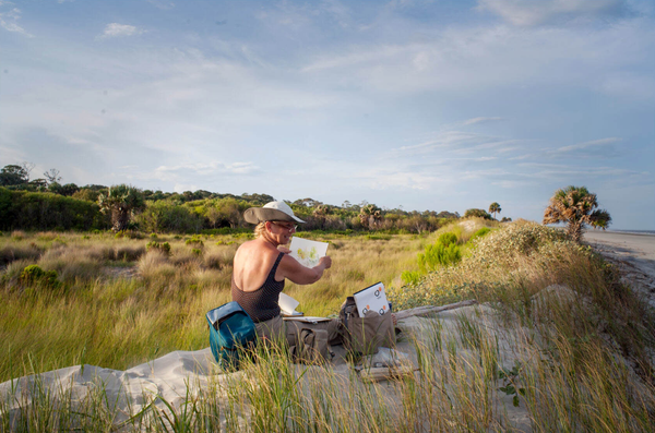 The Ossabaw Meditations: Betsy Cain exhibition to benefit new ARTS Southeast Artist Residency on Ossabaw Island